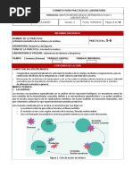 Actividad Enzimatica 1