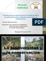 Convenio para La Conservación de La Biodiversidad y La Protección de Áreas Silvestres Priorizados en Centroamérica