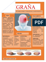 Infografia Migraña