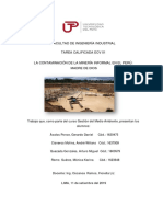 La Contaminación de La Minería Informal en El Perú - ECV1