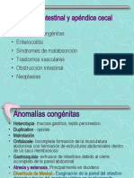 Tema 9 PATOLOGIA DIGESTIVA II