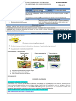 Guia 1 Segundo Periodo Sociales