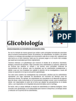 Ensayo Glicobiologia PDF