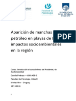 Contaminación de Petróleo en Playas de Brasil