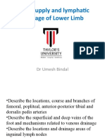 Blood Supply and Lymphatic Drainage of Lower Limb