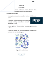 Lecture 2 Cyanophyta: 1-General Characteristics