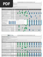 Cronograma Implementación PESV