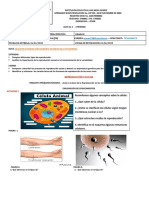 Guía-Taller Virtual # 1 (Ii Periodo) Grado 8 Biología PDF