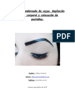 Guia para Curso de Cejas