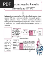 Diagrama Aminotransferasas