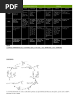 Avanzult4 PDF