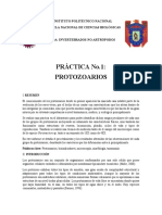 Práctica 1 - Protozoarios