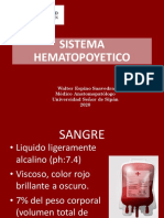 01.-Sistema Hematopoyetico Uss PDF