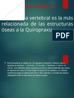 Bases de La Quiropraxia