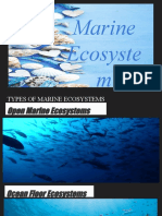 Marine Ecosystem