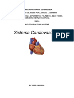 Sistema Cardiovascular