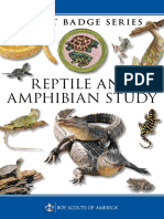 Reptile and Amphibian Study Merit Badge Pamphlet 35941 PDF