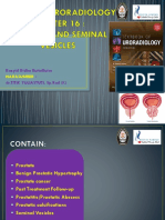 Prostate and Seminal Vesicles