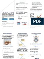 Triptico Finanzas