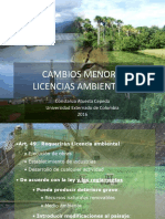 Cambios Menores o Giro Ordinario PDF