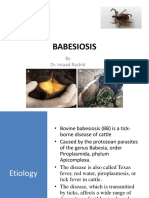 Babesiosis in Animals