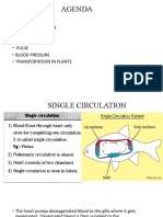 Human Circulatory System PPT3