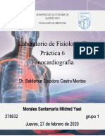 Lab Fisio 6