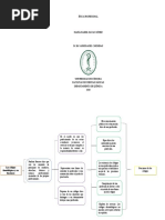 Cuadro Sinoptico Etica