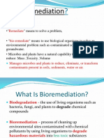 Bioremidiation 