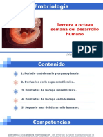 Tercera A Octava Semana Del Desarrollo PDF