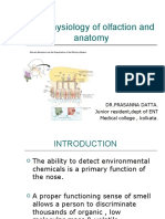 Anatomy & Physiology of Olfactory System.