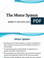 Motor System Final