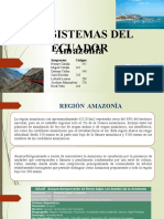 Mae Ecosistemas Terrestres Del Ecuador Amazonia