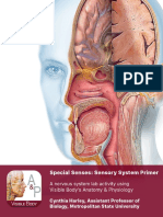 Lab Manual - Senses Primer - A+p - Student