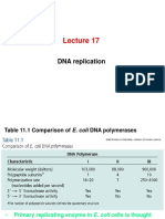 Lecture 17-Cell Biology