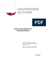 Digestão Dos Alimentos Nos Ruminantes