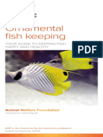 Ornamental Fish Keeping: Your Guide To Keeping Fish Happy and Healthy