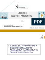 TEM 7 - Derecho Ambiental - IGA