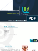 PDF Documento