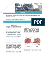 9 - Placenta PDF