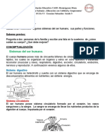 GUIA # 3 CIENCIAS NATURALES - Sistemas Del Cuerpo H PERIODO 2