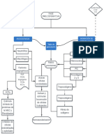 Fase Proliferativa