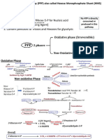 Lecture 10 Second PPP PDF