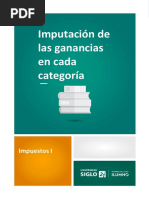 Imputacion de Ingresos y Gastos PDF