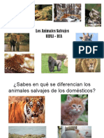 Animales Salvajes