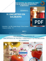 Semana 4 Encurtudo en Salmuera PDF