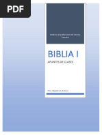 Biblia I - Apuntes PDF