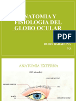 ANATOMIA Y FISIOLOGIA DEL GLOBO OCULAR Diapositivas 2015-l