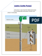 PCP (Progressive Cavity Pump)