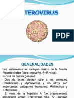 Hepatovirus y Enterovirus